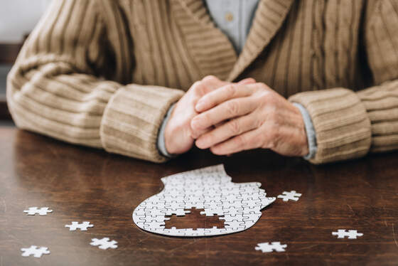 Gehirn Puzzle
