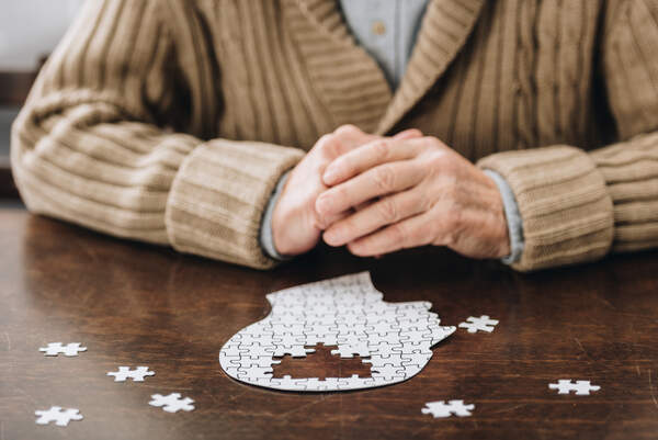 Gehirn Puzzle